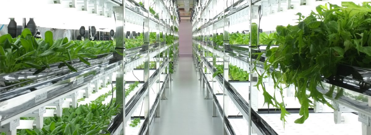 https://www.futurefoodsystems.com.au/wp-content/uploads/2019/09/indoor-ag-for-web-CROP-1200x439.jpg