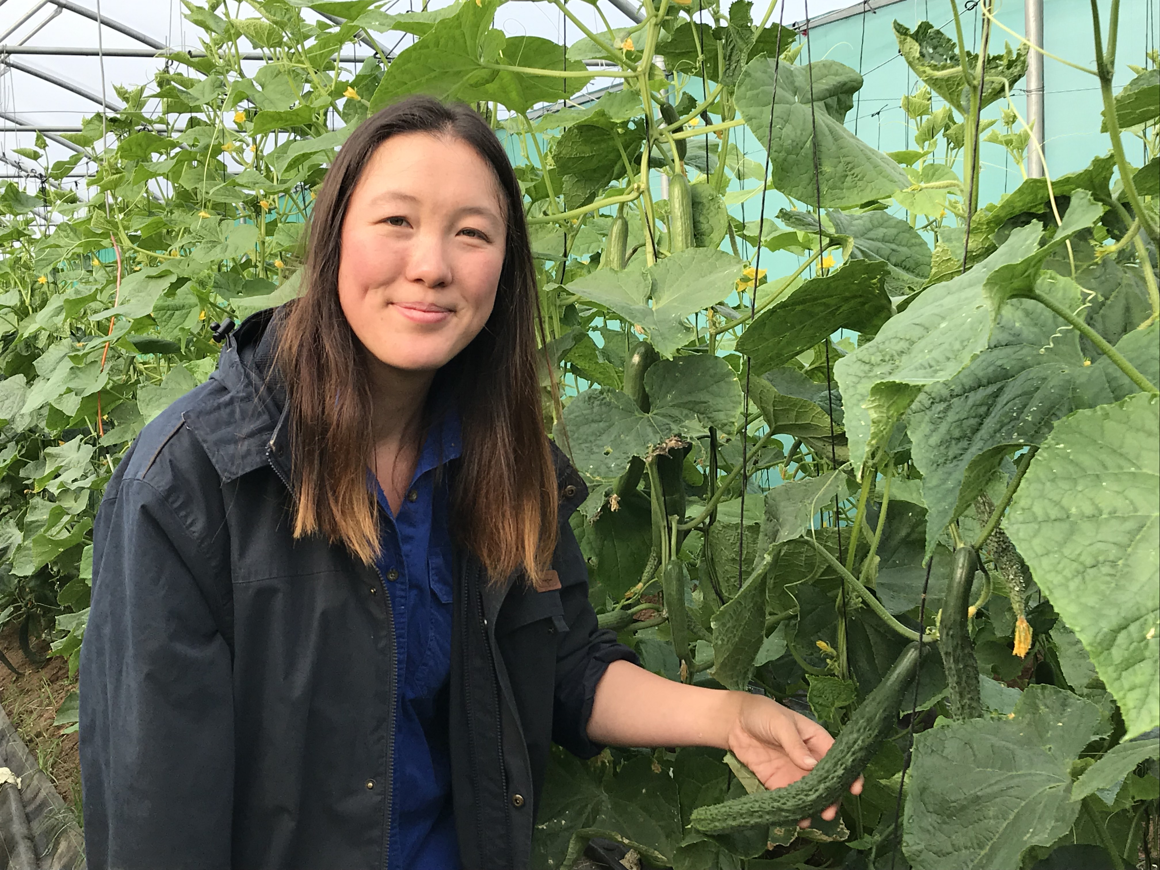 The future of farming in Western Sydney - fresh thinking