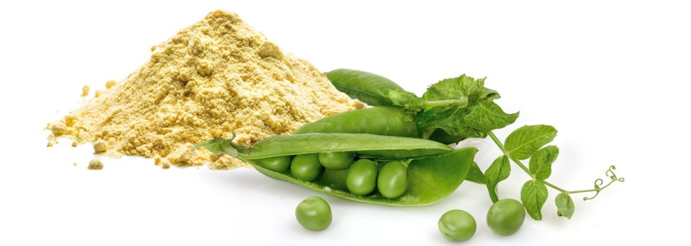 https://www.futurefoodsystems.com.au/wp-content/uploads/2020/02/Peas-A-sustainable-label-friendly-and-plant-based-source-of-protein_promo_feature_cover.jpg