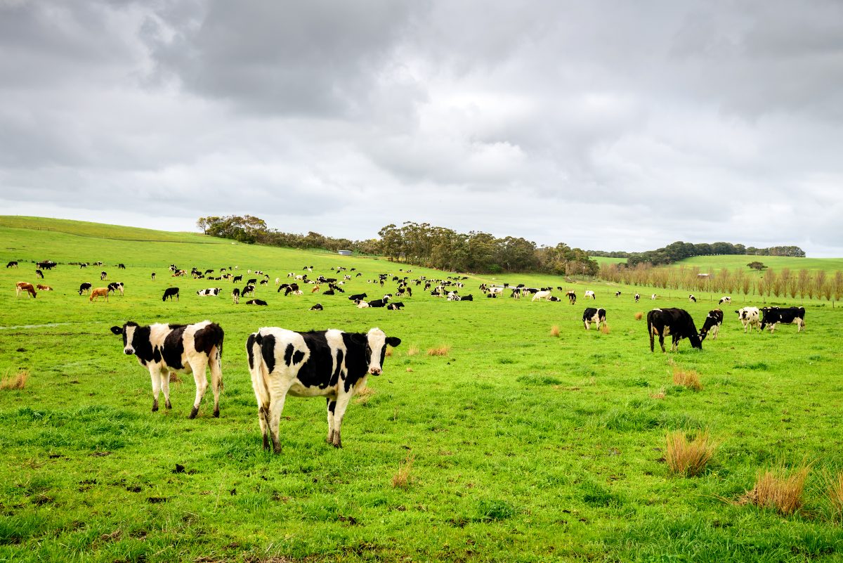 https://www.futurefoodsystems.com.au/wp-content/uploads/2020/02/shutterstock_525904921-1200x801.jpg