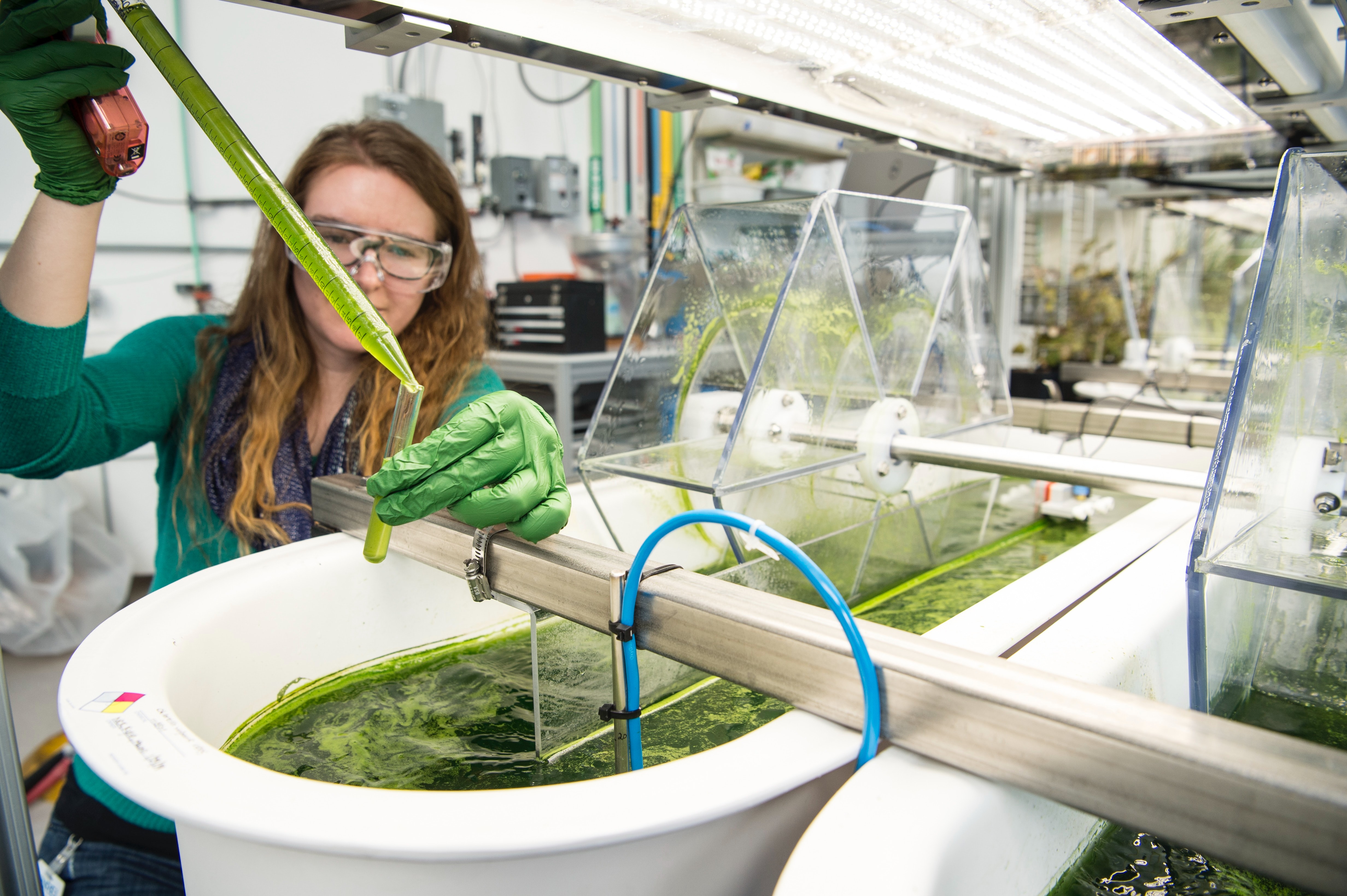 Exploring human food clinical trials