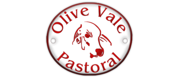 Olive Vale Pastoral