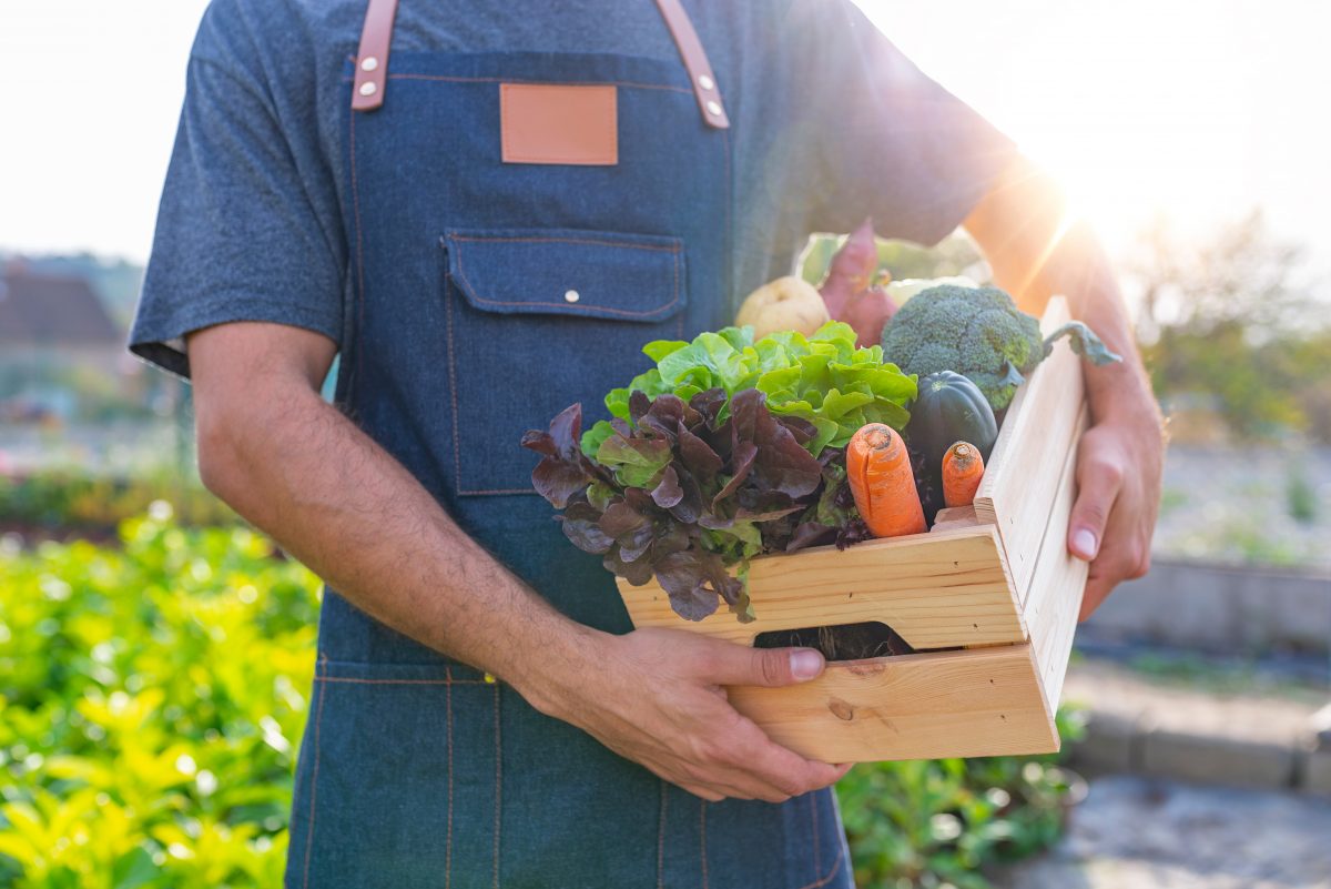 https://www.futurefoodsystems.com.au/wp-content/uploads/2020/04/shutterstock_1214671912-1200x801.jpg