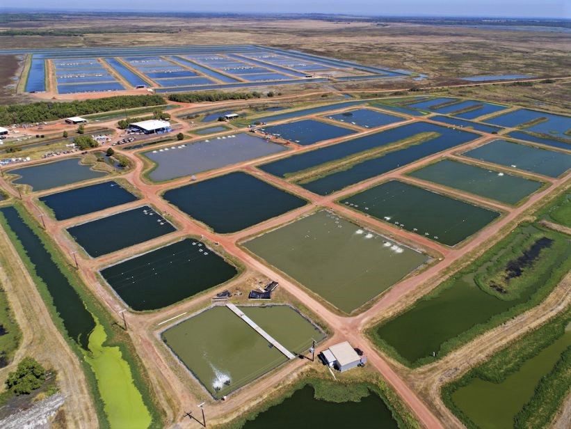 https://www.futurefoodsystems.com.au/wp-content/uploads/2020/05/Aquaculture-ponds-Northern-Territory_Credit-CSIRO_CROP.jpg