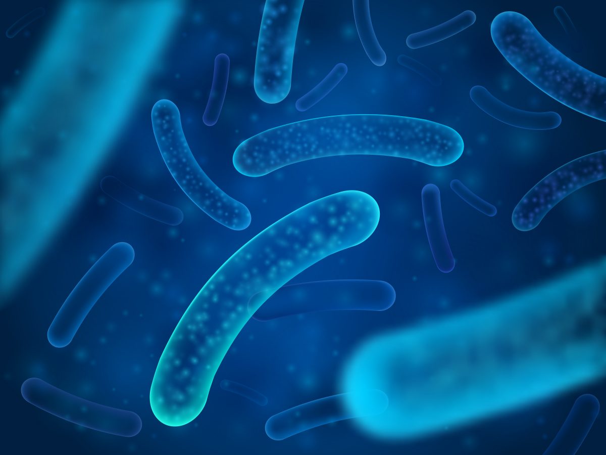 The Gut Stuff's Lisa Macfarlane and Dr Ruairi Robertson, microbiome expert at London's Blizard Institute, talk with NutraIngredients' Nikki Hancock on what's next for the microbiome-health sector.