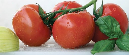 https://www.futurefoodsystems.com.au/wp-content/uploads/2020/05/tomatoes.jpg