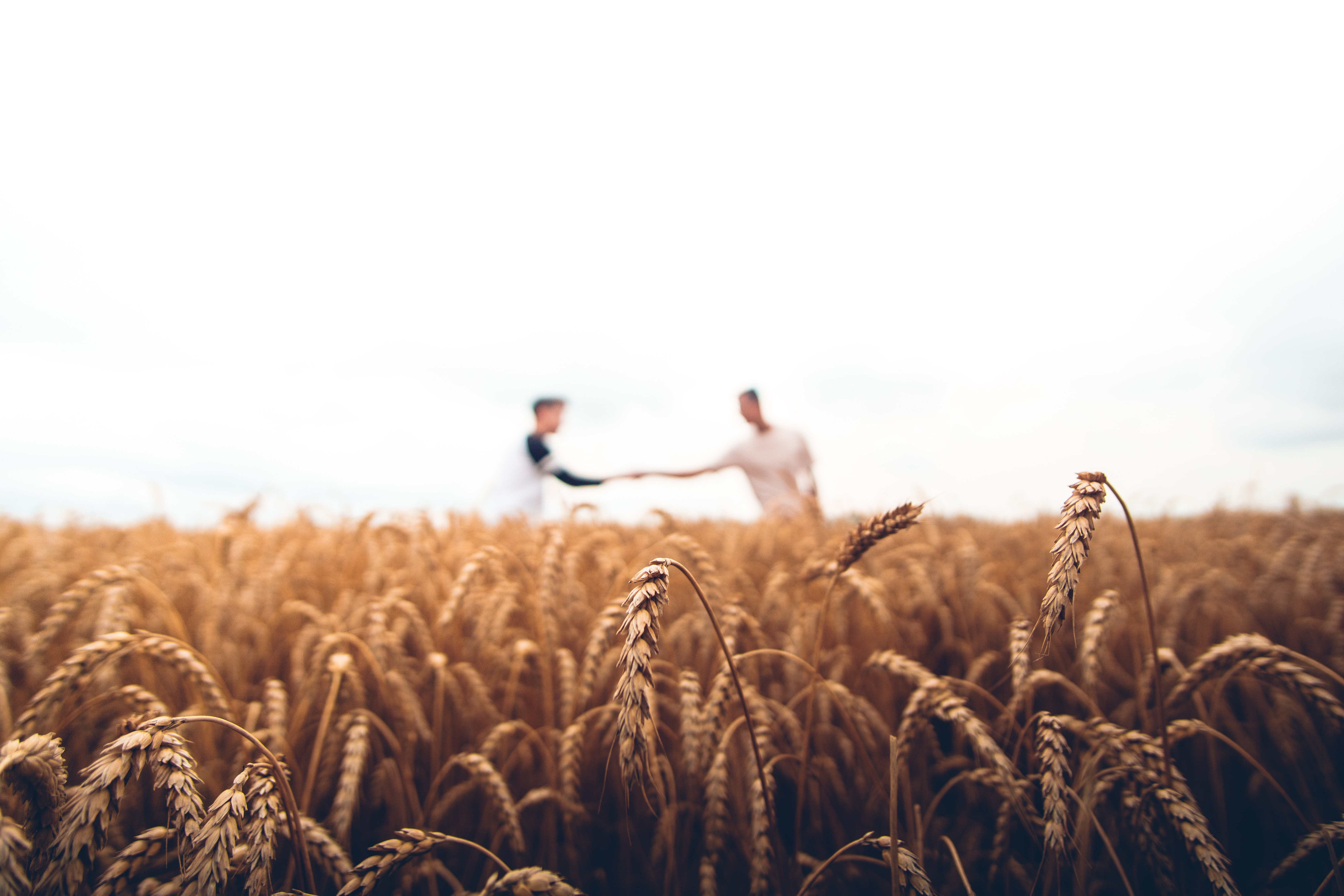 Cooperative Farming conversations