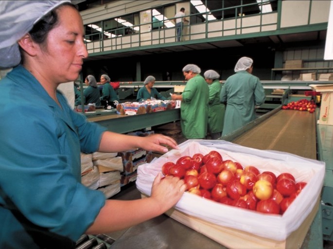 https://www.futurefoodsystems.com.au/wp-content/uploads/2020/06/Fruit-packers-in-Chile_Credit-Toby-Adamson-Oxfam_CROP.jpg