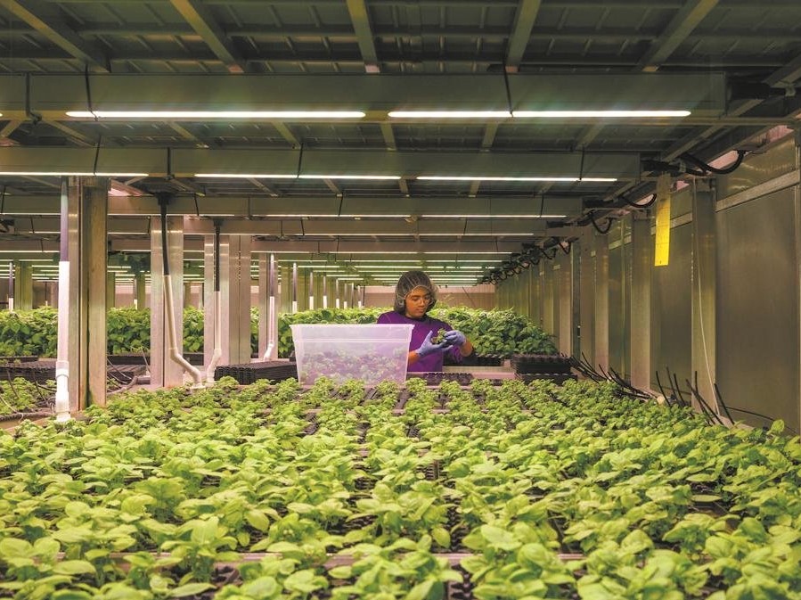 How does COVID-19 accelerate change in food systems?