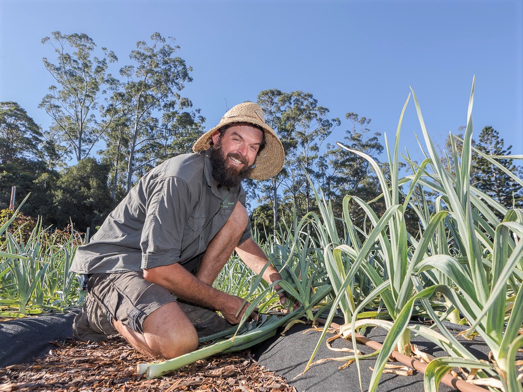 Analysing the Coffs Harbour food value chain