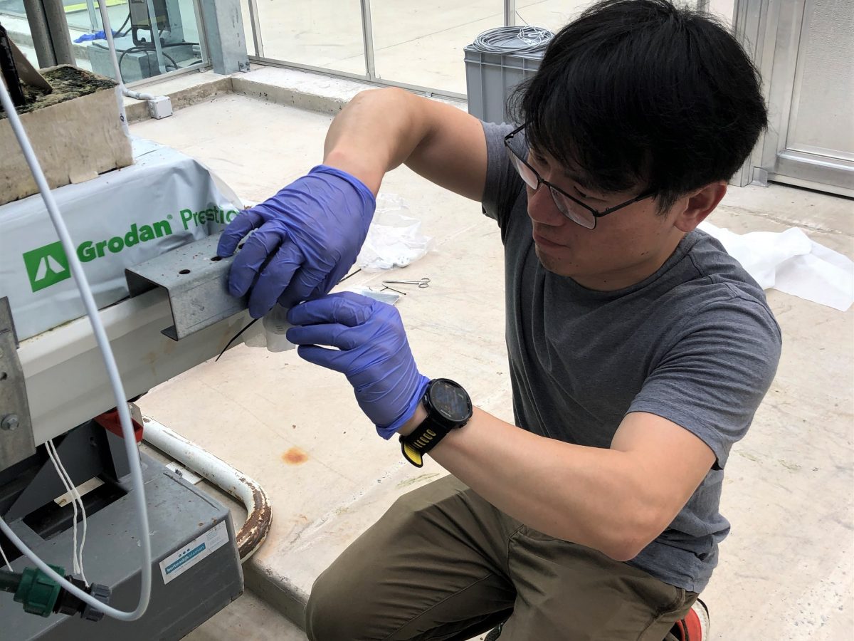 https://www.futurefoodsystems.com.au/wp-content/uploads/2020/07/The-IoT-set-up-for-the-CRCs-IoT-for-indoor-cropping-project-crop-trials-involves-an-array-of-sensors_Credit-Wen-Hu-UNSW-1200x900.jpg