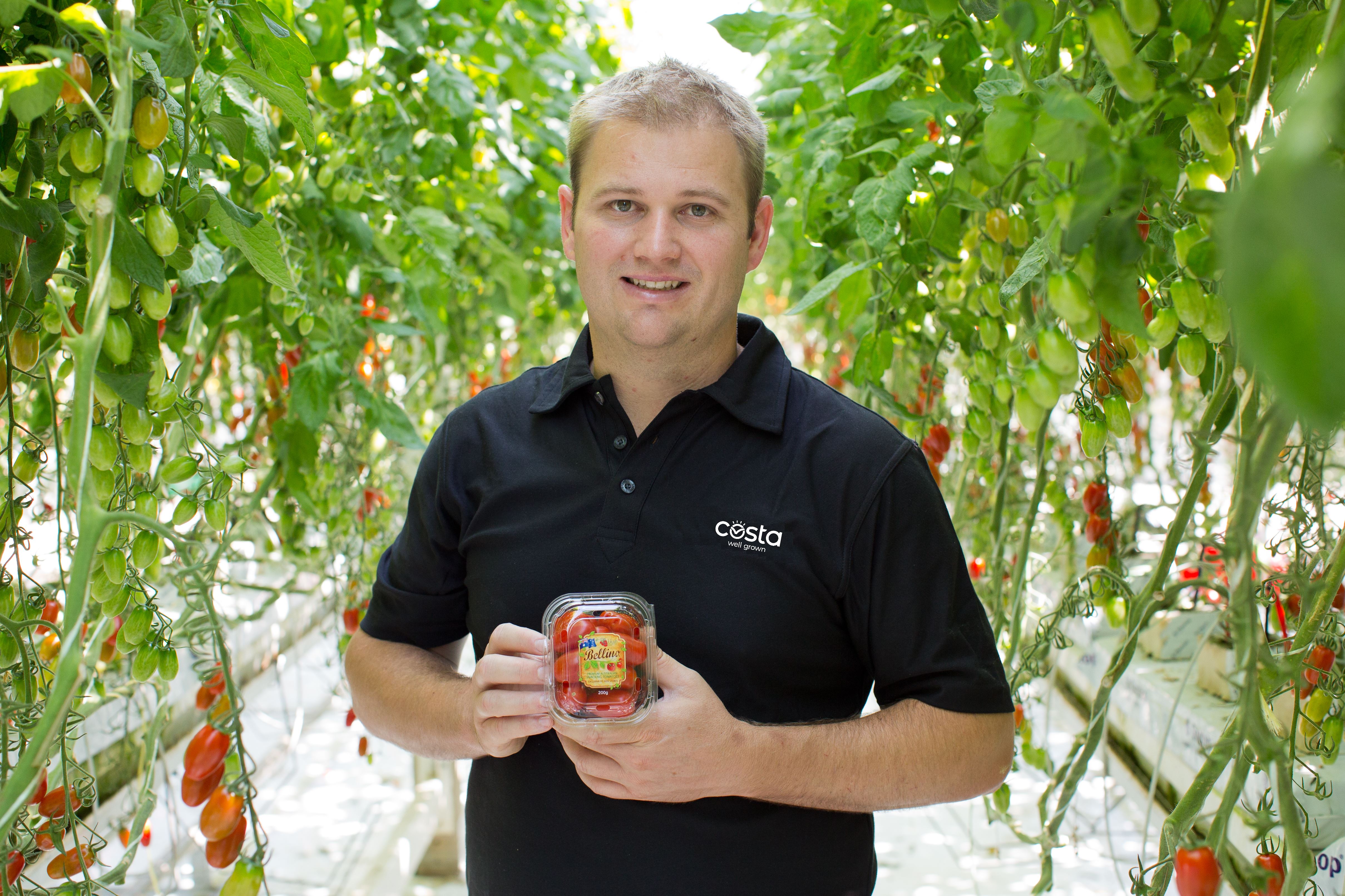 Costa Group is teaming up with UNE, NSW DPI and ANU scientists, and FFS to help it reduce carbon use and increase yields in its Guyra tomato glasshouses.