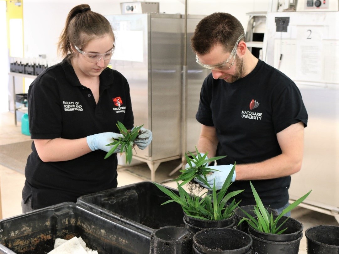 https://www.futurefoodsystems.com.au/wp-content/uploads/2020/08/In-the-lab_STEM-entrepreneurs-apply-now-for-the-federal-Department-of-Ags-annual-Science-and-Innovation-Awards-for-Young-People_Credit-Hort-Innovation.jpg