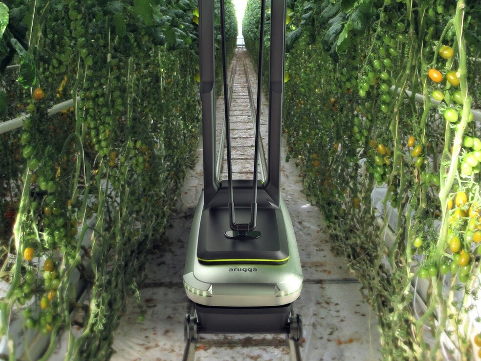 https://www.futurefoodsystems.com.au/wp-content/uploads/2020/09/Aruggas-new-tomato-pollinating-robot-in-the-greenhouse_Credit-Arugga-AI-Farming-via-Vimeo_CROP.jpg