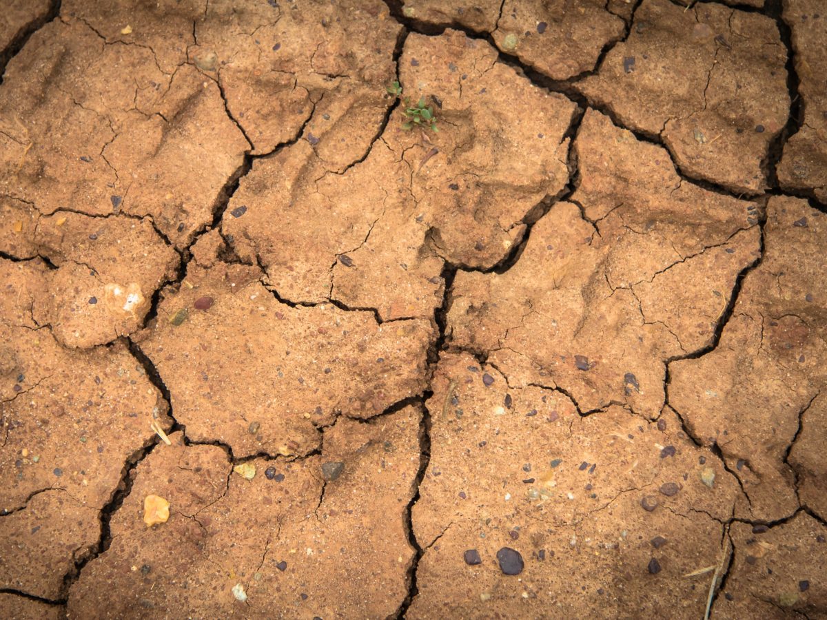 https://www.futurefoodsystems.com.au/wp-content/uploads/2020/09/Cracked-earth-severe-drought-in-recent-decades-is-one-of-several-climate-change-related-extreme-weather-events-that-have-impacted-Australias-ag-sector_-Credit-Holger-Link-on-Unsplash-1200x900.jpg