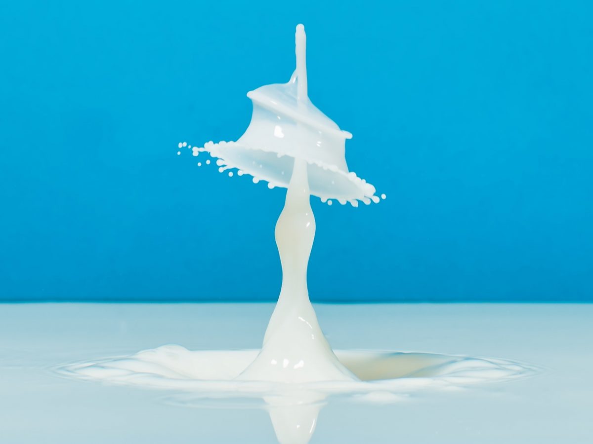 Dairy Reporter webinar: Creating value-added functional ingredients