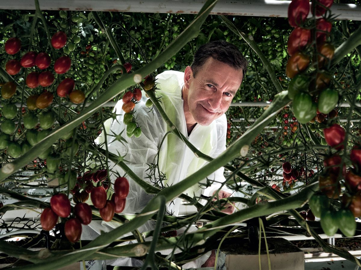 https://www.futurefoodsystems.com.au/wp-content/uploads/2020/10/PhD-Phil-Thomas-IT-professional-turned-microbiologist-will-be-exploring-the-root-rhizobiome-of-greenhouse-grown-hydroponic-tomatoes_Credit-UNE_CROP-1200x900.jpg
