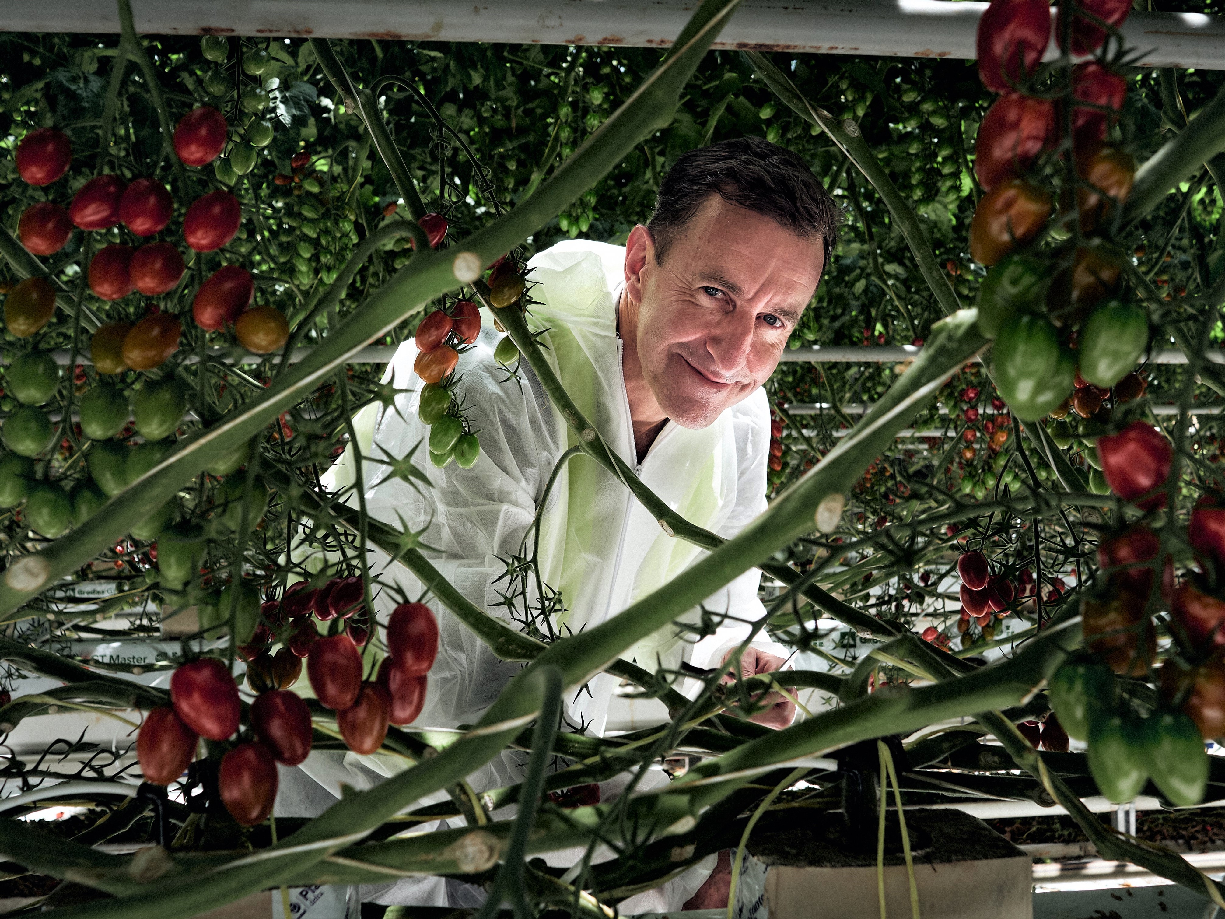 A UNE team's groundbreaking research for Costa Group into hydoponic tomatoes' root-zone microbes has garnered international media attention. 