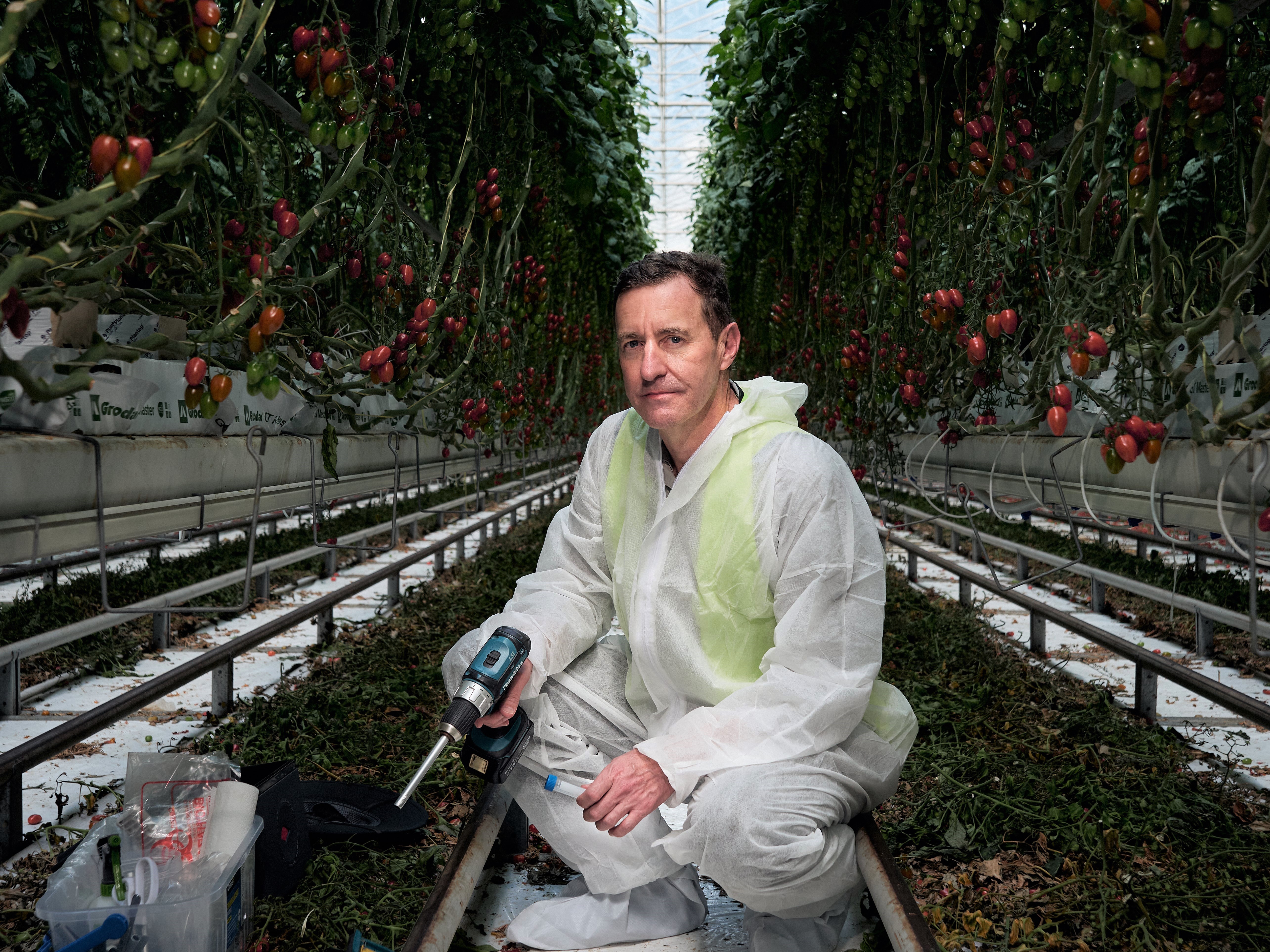 For this IT-pro-turned-UNE-microbiology post-grad, the chance to study the root microbiome of greenhouse-grown tomatoes with Costa Group under the CRC was one too good to refuse.