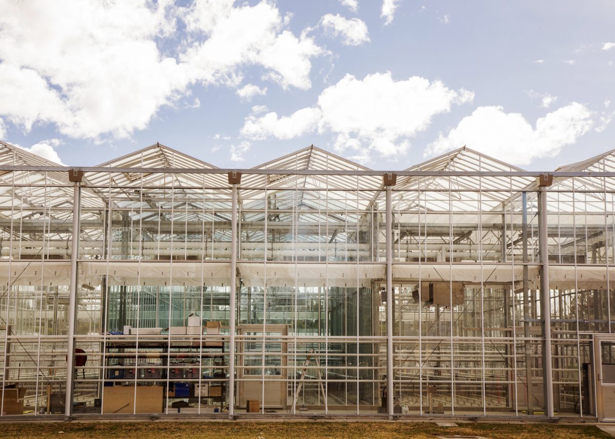 This two-day, Dubai-based global conference-expo highlighting innovations in agriculture and horticulture aims to brings academia and industry together. Western Sydney University's protected-cropping experts will be contributing a video on the university's high-tech experimental glasshouse.