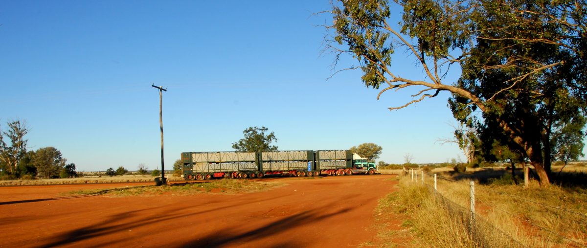 https://www.futurefoodsystems.com.au/wp-content/uploads/2020/10/shutterstock_18393373-1200x507.jpg