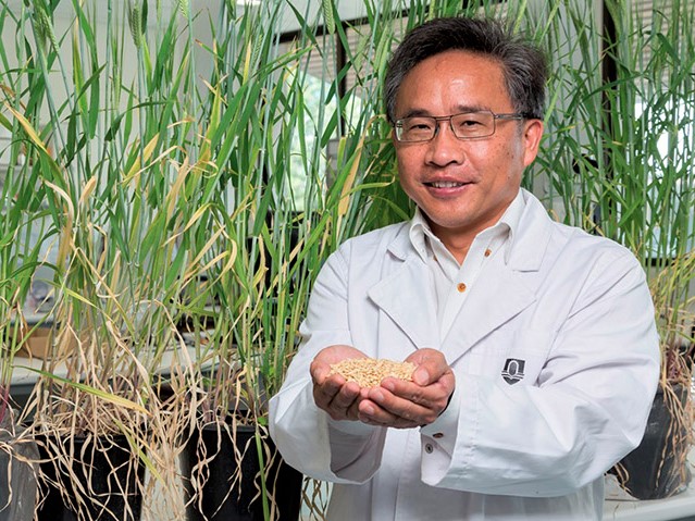 https://www.futurefoodsystems.com.au/wp-content/uploads/2020/11/Murdoch-University’s-Professor-Chengdoa-Li-and-team-will-conduct-crop-trials-in-the-new-greenhouse-to-evaluate-its-effectiveness-in-plant-growth_Credit-Murdoch-University.jpg