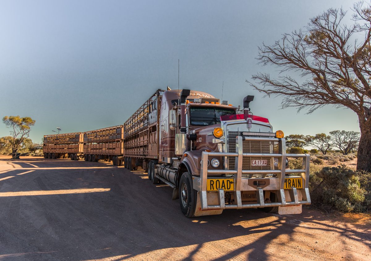 https://www.futurefoodsystems.com.au/wp-content/uploads/2020/12/Semi-trailer-carrying-livestock.-Alice-Springs-Red-Center-Australia-Credit-Serge-Goujon-Shutterstock_CROP-1200x845.jpg