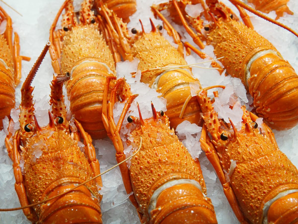 https://www.futurefoodsystems.com.au/wp-content/uploads/2020/12/Western-Australian-rock-lobster-on-sale.-Credit-Shutterstock_CROP-1200x900.jpg