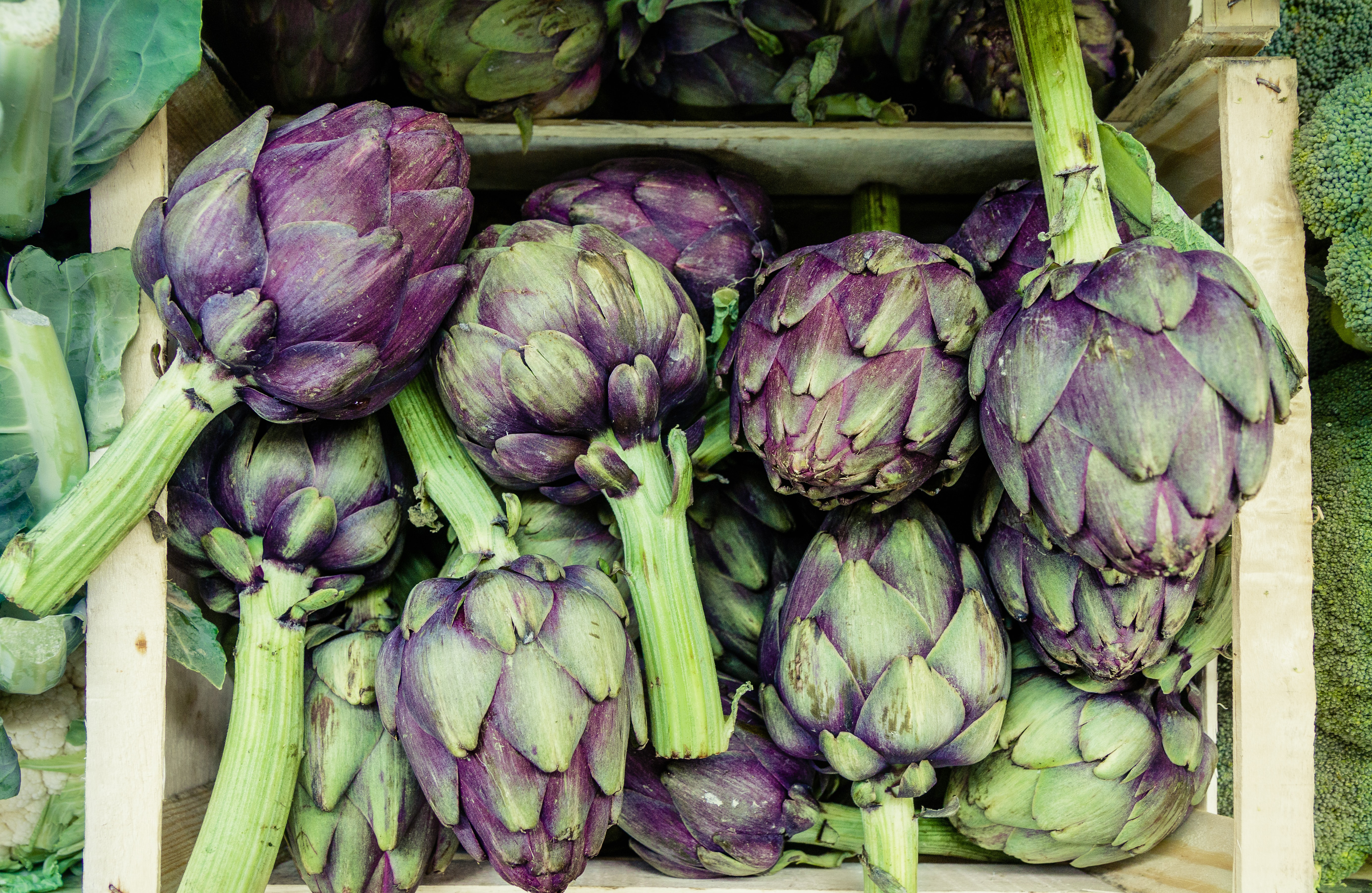 Bioactive components for value-add to Australian artichokes