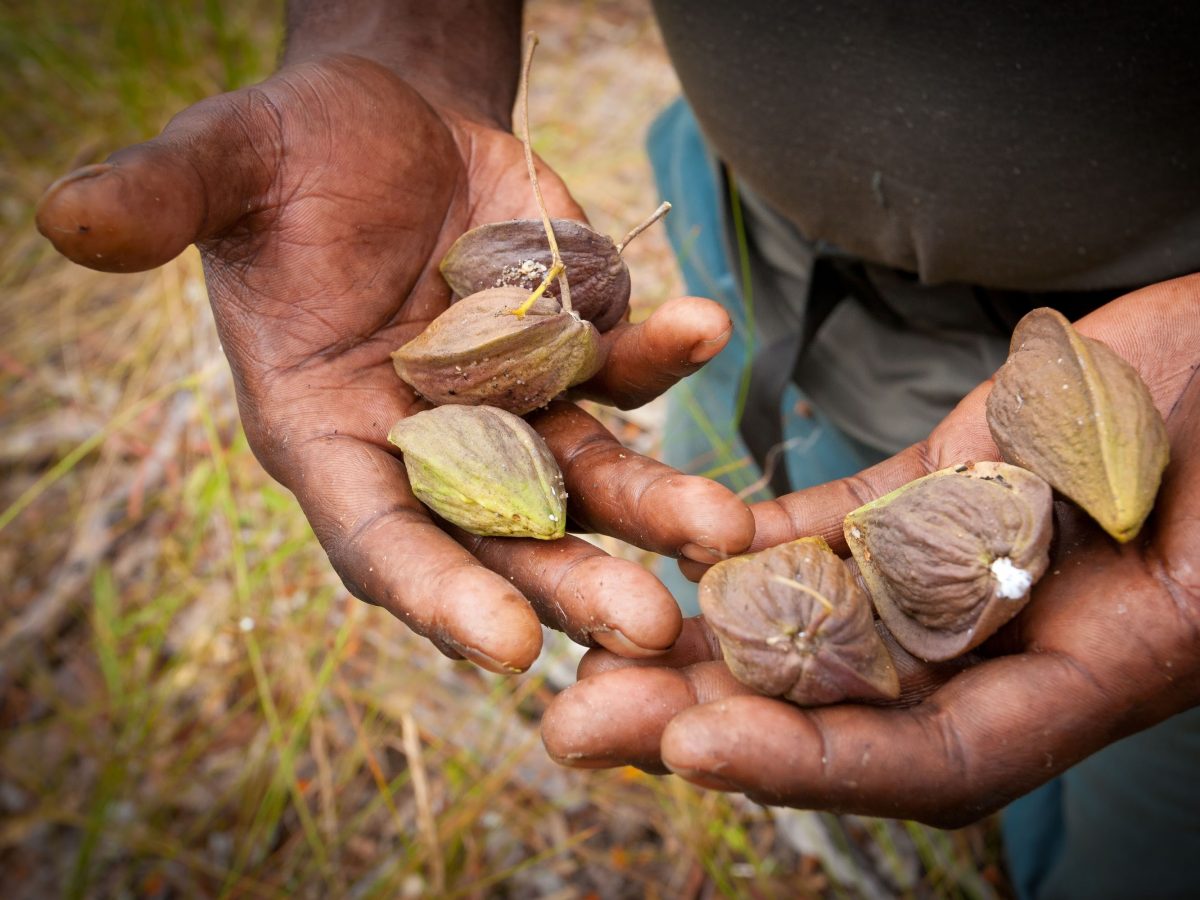 agri tourism grants nsw