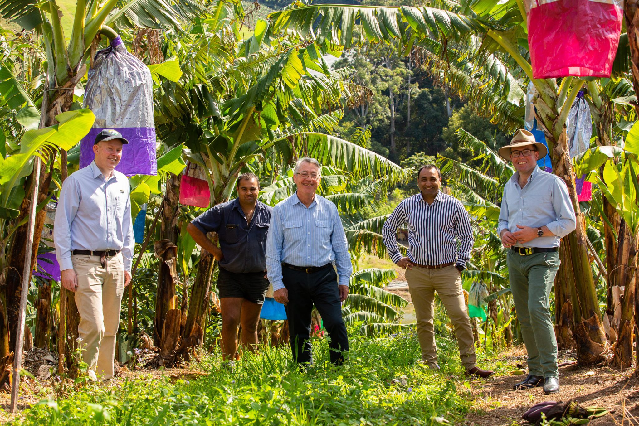 NSW Agriculture Commissioner and NSW DPI seek agriculture sector feedback on future land use strategy
