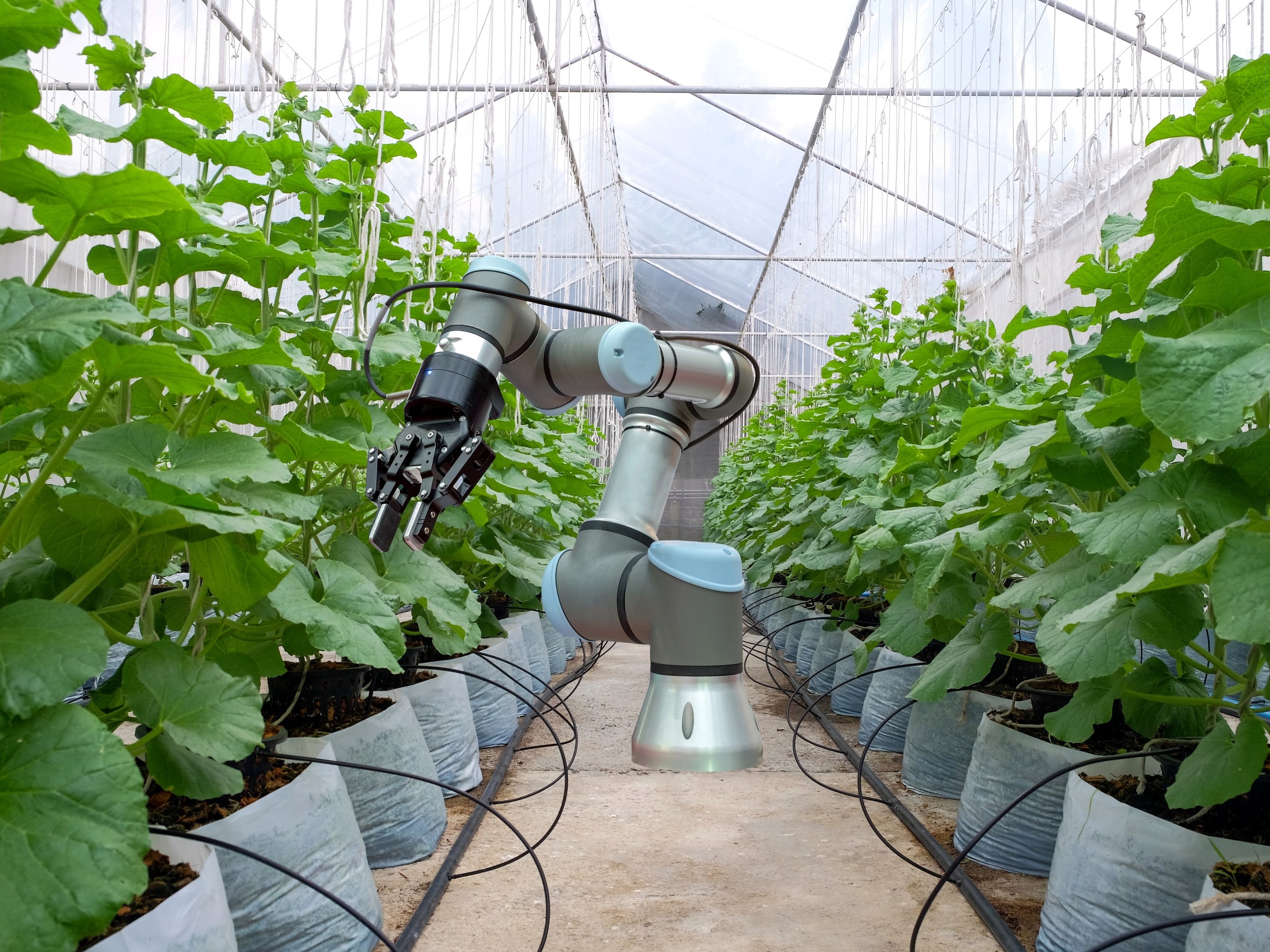 The Future of Food USA