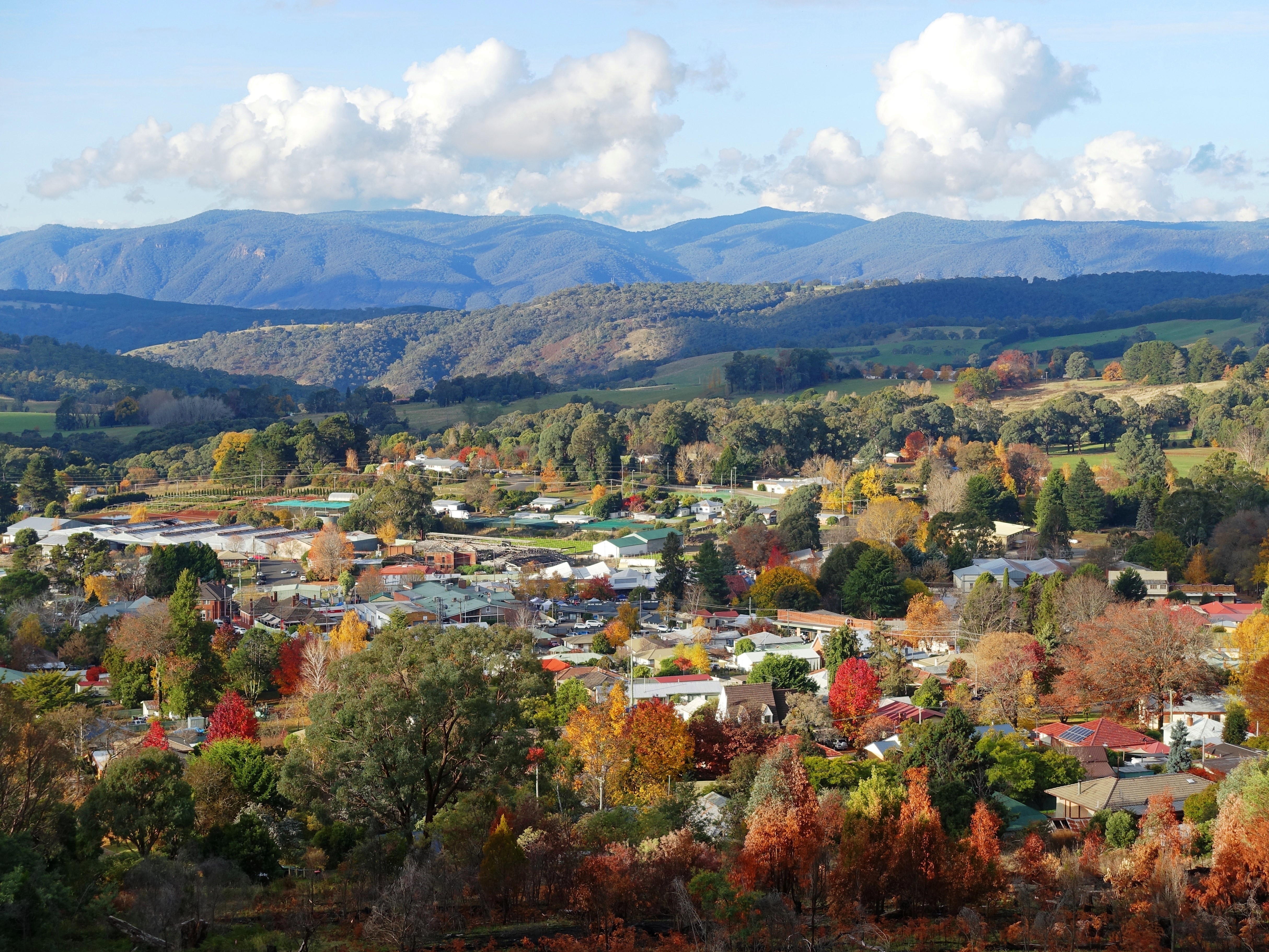 The time is right for a coordinated effort to bolster resilience in our regions and invest in their strengths, contends the National Farmers’ Federation, which released its Regionalisation Agenda paper this week.