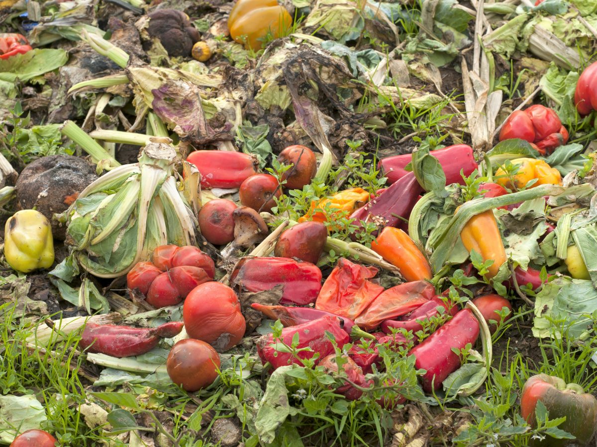 Join the official launch of FIAL's National Food Waste Strategy Feasibility Study, which will present key findings from the study and give stakeholders from all along the food supply chain tips on how to reduce food loss and waste.