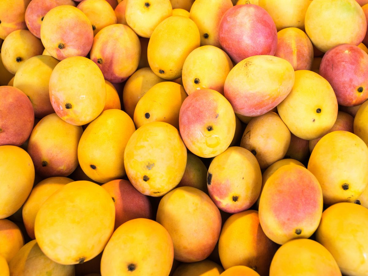 https://www.futurefoodsystems.com.au/wp-content/uploads/2021/02/Typically-mangoes-spend-three-days-in-a-special-ripening-chamber-at-a-set-temperature-prior-to-being-transported-to-market.-Credit-Shutterstock-1200x900.jpg