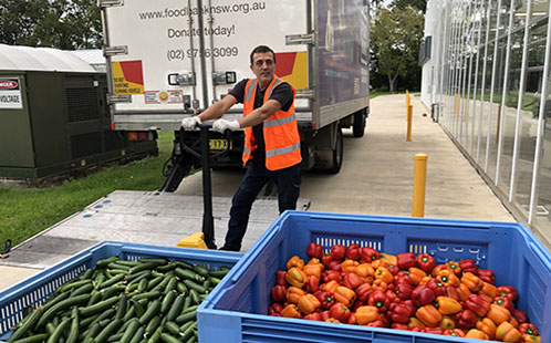 Researchers from the National Vegetable Protected Cropping Centre at Western Sydney University have netted an Award of Merit from the Australian Institute for Horticulture for donating their glasshouse-grown produce to those in need.