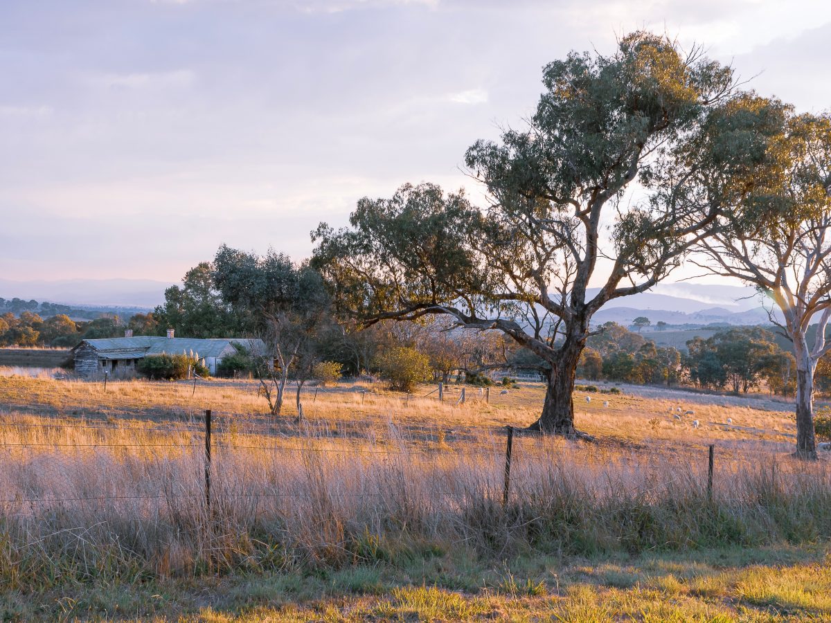 agri tourism grants nsw