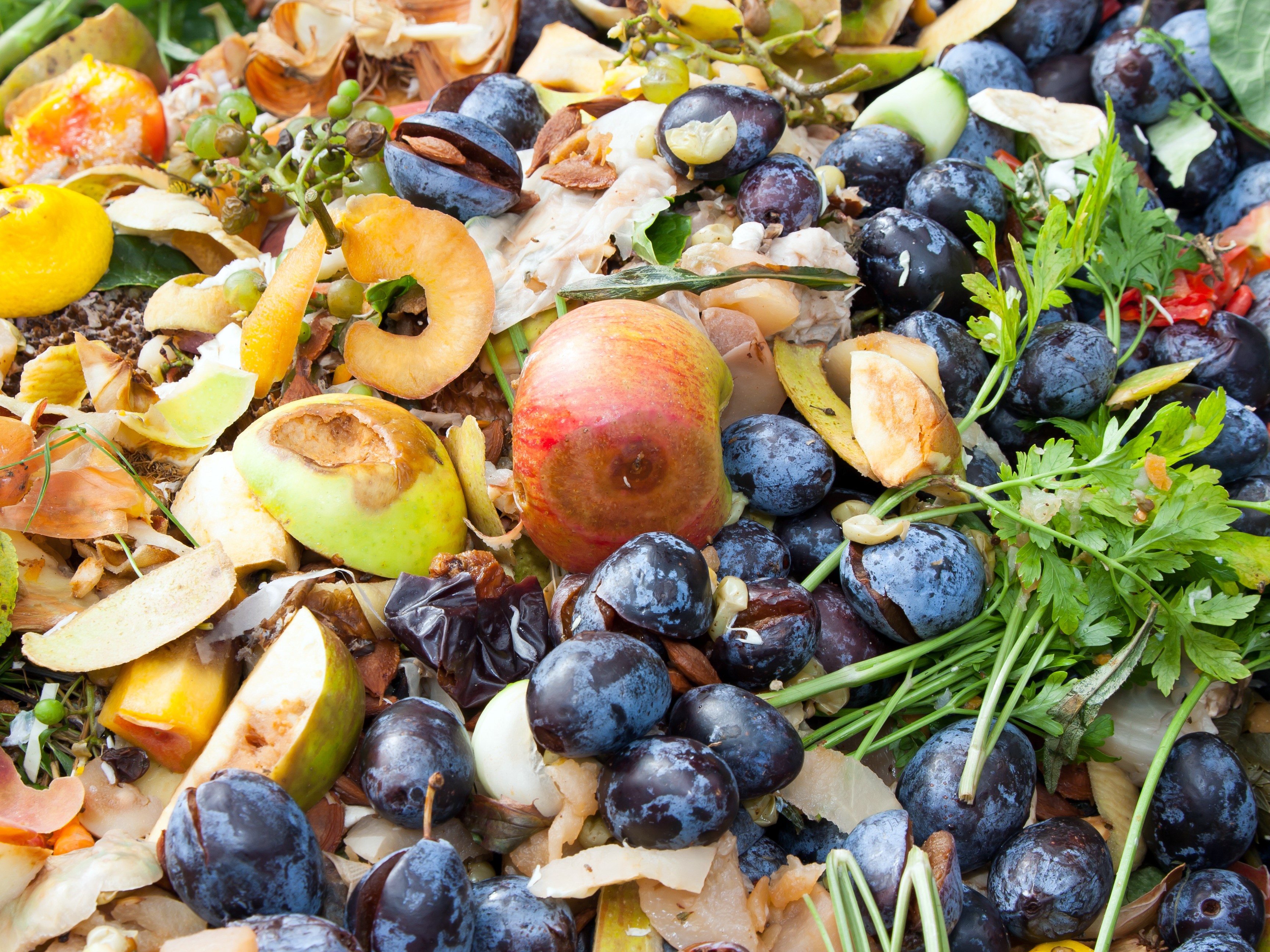 National Seminar Series: Reducing Food Waste in Processing & Packaging