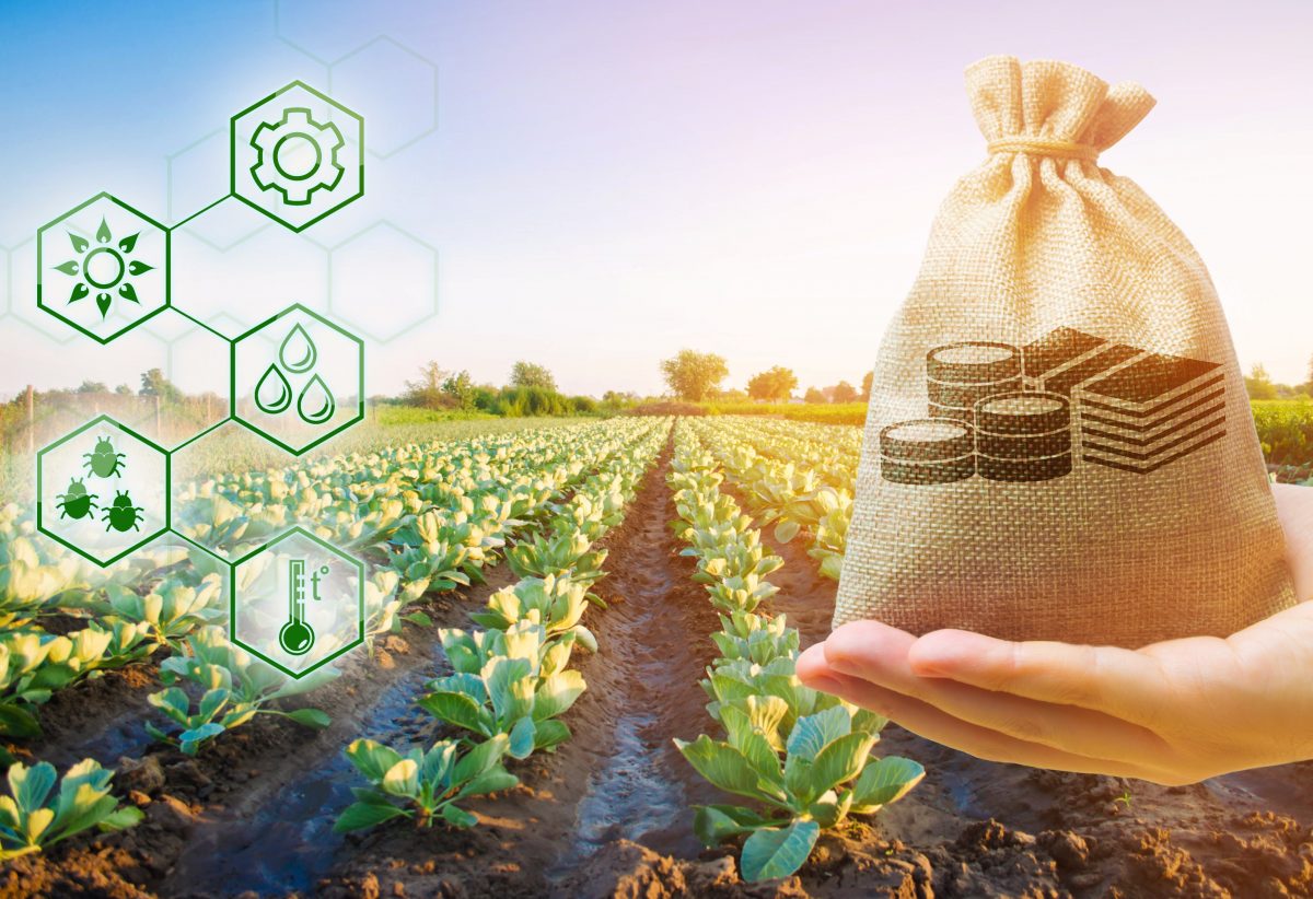 https://www.futurefoodsystems.com.au/wp-content/uploads/2021/03/Funding-is-available-from-federal-state-and-territory-governments-for-food-beverage-and-agricultural-enterprises-big-and-small.-Credit-Andrii-Yalanskyim-Shutterstock_1626914650_CROP-1200x822.jpg