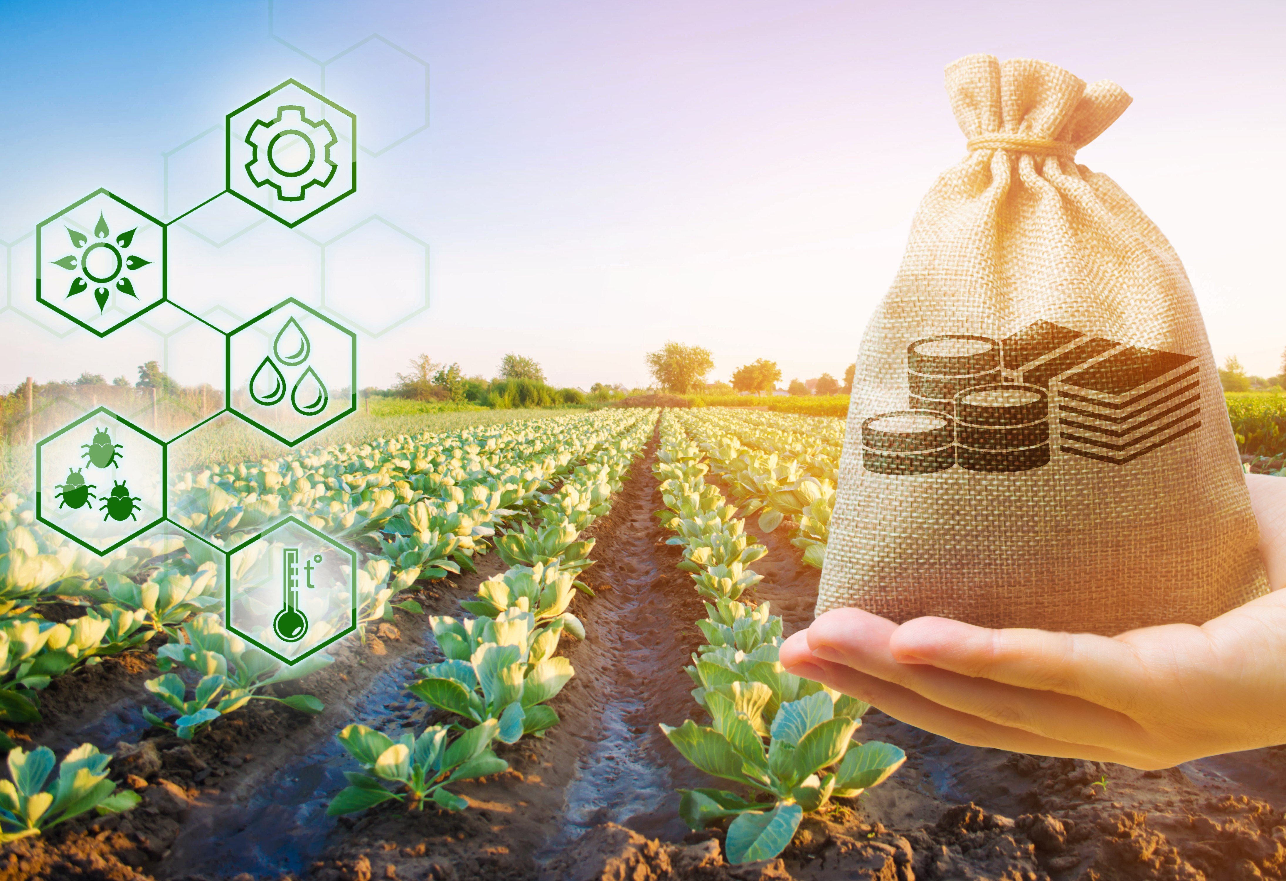 Commonwealth, State and Territory government funding is available to help Australia's food, beverage, agricultural and ancilllary organisations, big and small, revive and thrive post-pandemic.