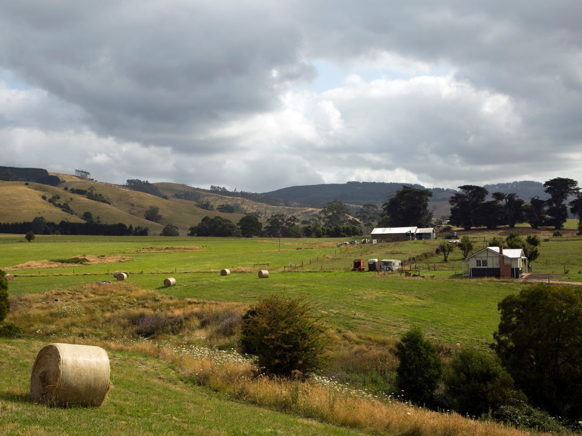 agri tourism grants nsw