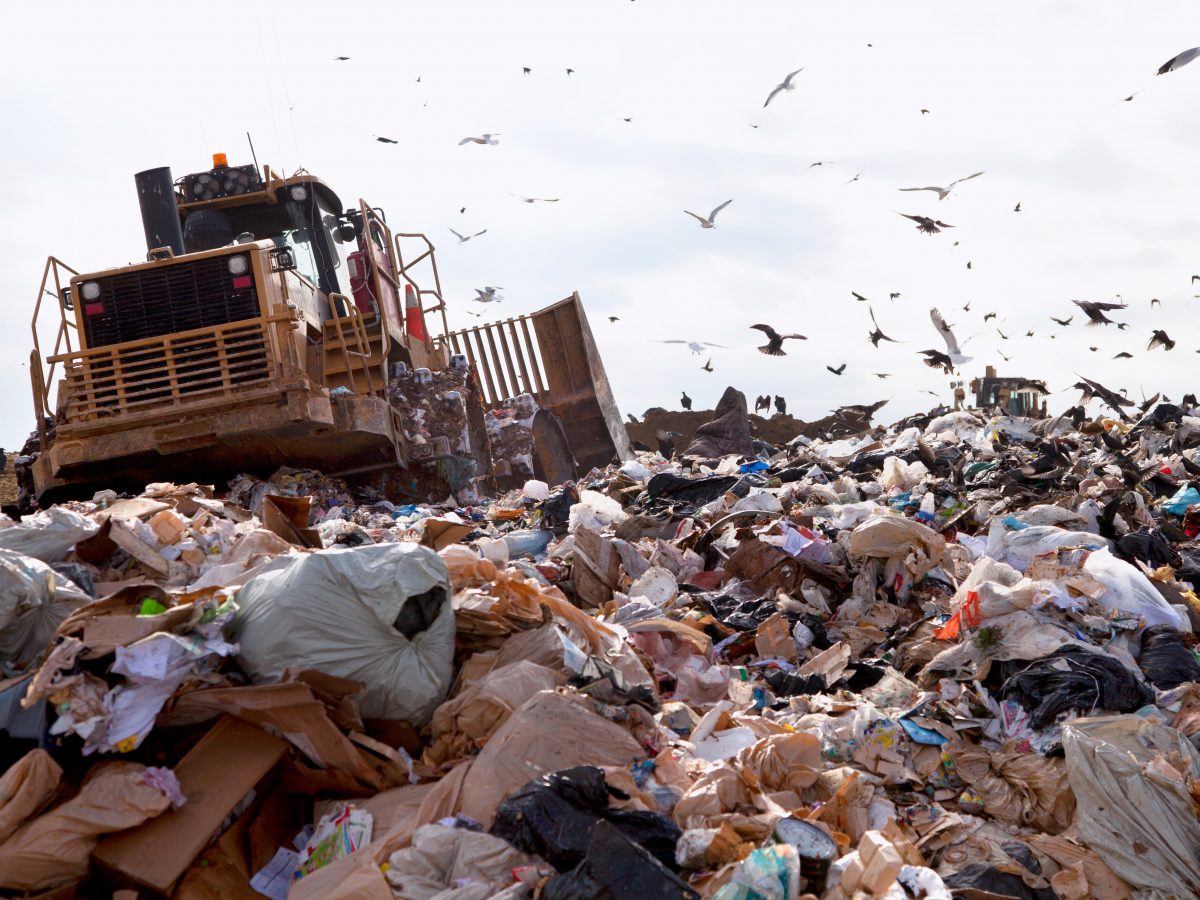 FIAL food waste webinar