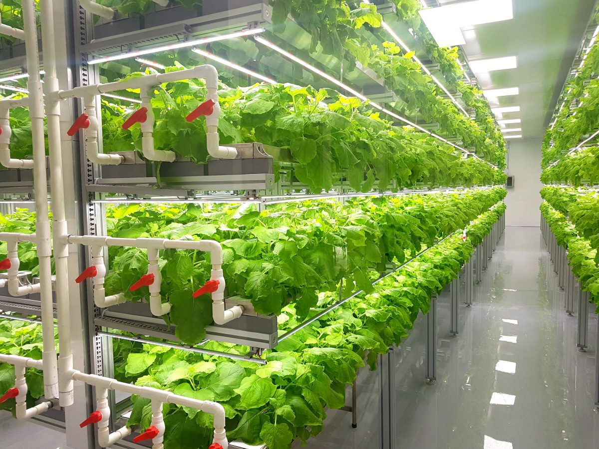 Join vertical-farming operators, investors, suppliers and customers from around the world to discuss key issues and work towards sector advancement.