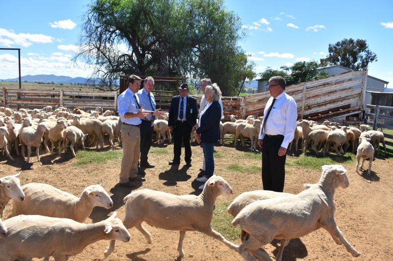 NSW Government announces new regional jobs precinct in the Namoi