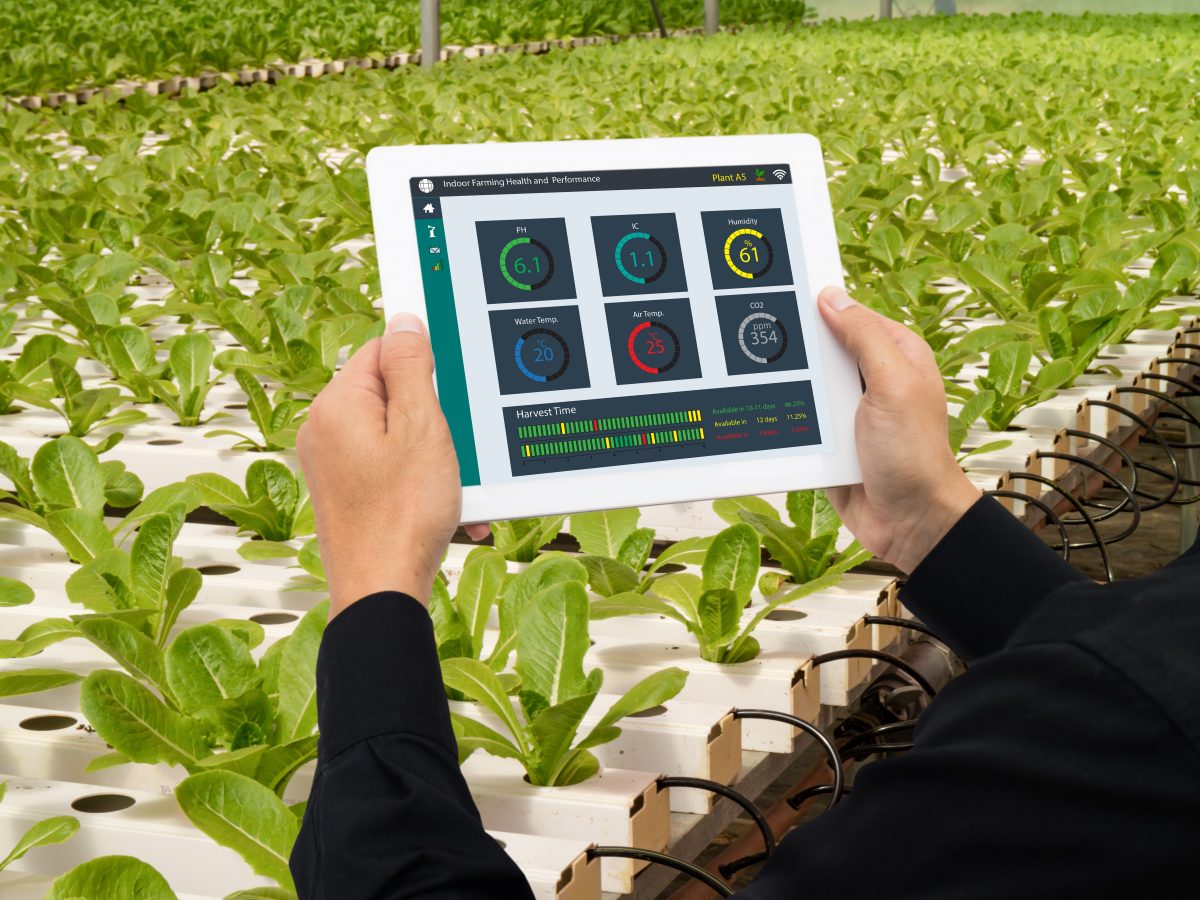 https://www.futurefoodsystems.com.au/wp-content/uploads/2021/04/Future-farmer-uses-a-tablet-to-monitor-and-control-condition-in-an-indoor-farm.-Credit-Monopoly-919-Shutterstock_793626025_CROP-1200x900.jpg