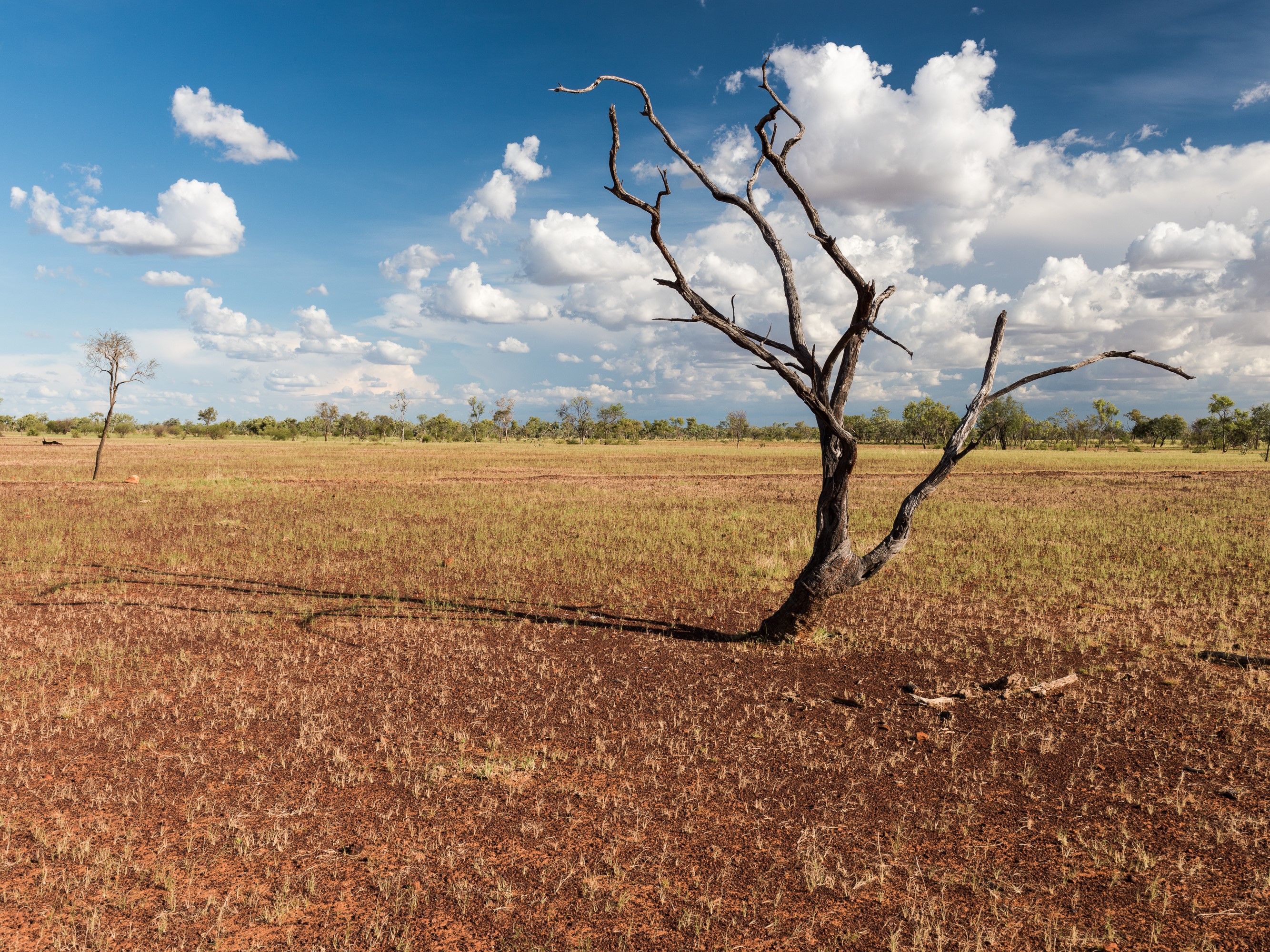 A new research and innovation hub, based at Charles Darwin University and with nodes in Katherine, Alice Springs, Broome and Perth, will help Northern Australia's producers and communities prepare for and respond to drought.