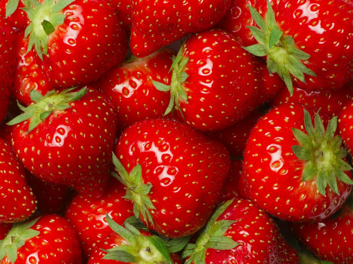 https://www.futurefoodsystems.com.au/wp-content/uploads/2021/04/Strawberries.-Credit-Denis-Larkin-Shutterstock_117762442_CROP-1200x900.jpg
