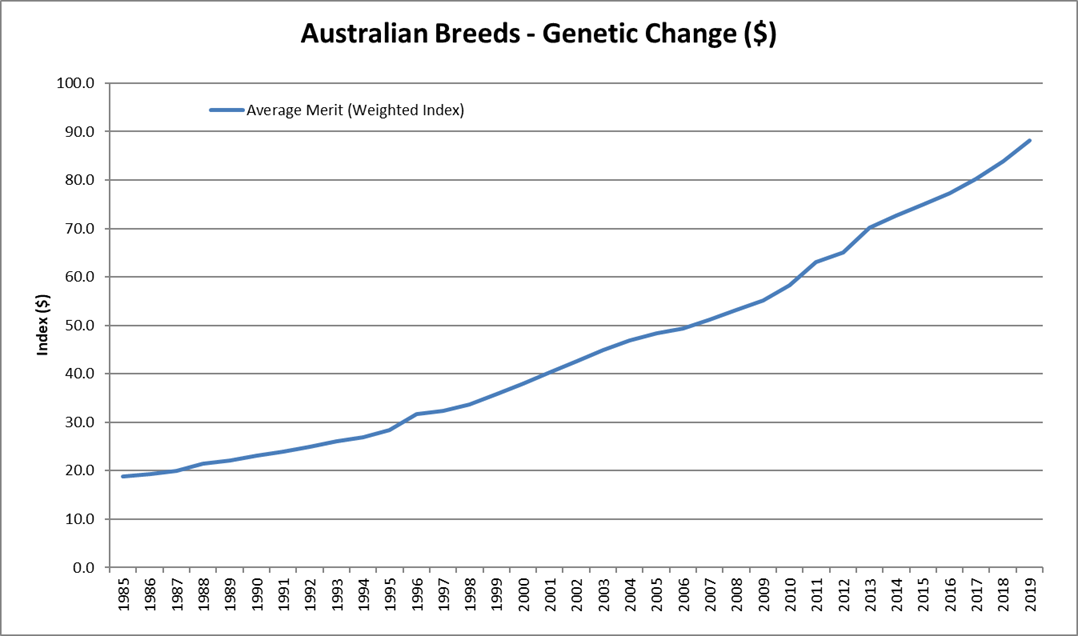 Genetic change in Australian beef cattle. Credit: ABRI/ University of New England