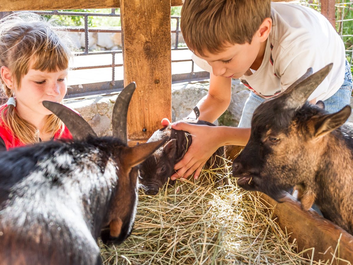 Kids learn firsthand from farmers