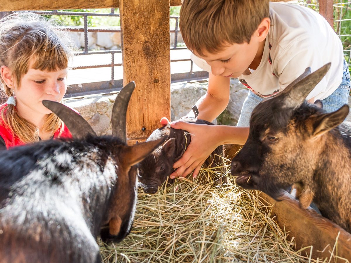 https://www.futurefoodsystems.com.au/wp-content/uploads/2021/05/Kids-with-goats-on-farm.-Credit-Shutterstock_CROP-1200x900.jpg